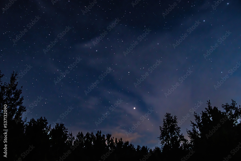 Night starry sky over forest. Tree silhouettes against  backdrop of stars.