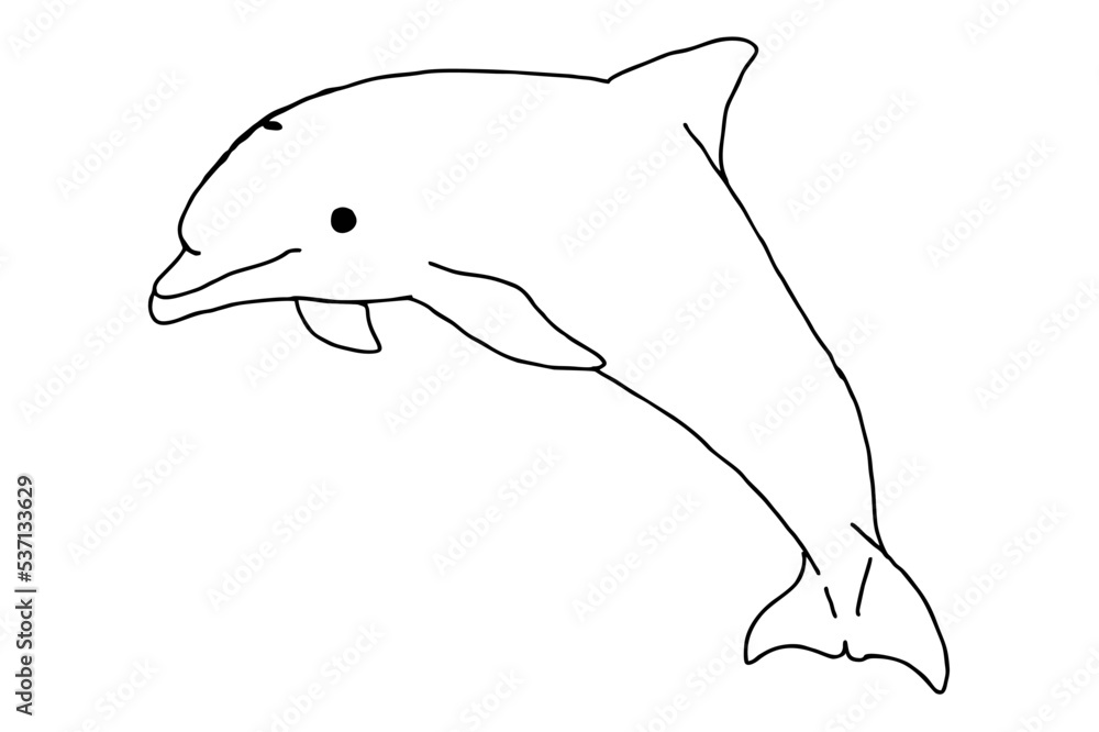 Obraz premium Sea Animal - Dolphin Line Art Vector