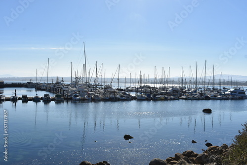 boats in marina