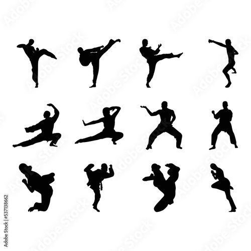 martial art silhouette icon set