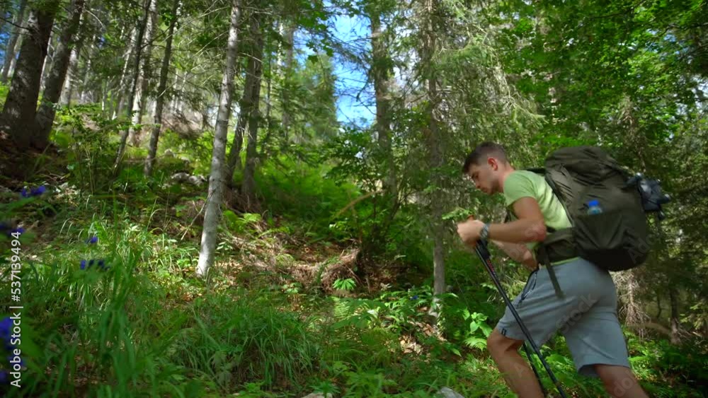 Man hiking in the forest to the mountain with a backpack, tracking polls in sports clothes. With trees and green plants surrounding him. Filmed on a gimbal in 4k wide view at daytime in the Alps Man hiking in the forest to the mountain with a backpack, tracking polls in sports clothes. With trees and green plants surrounding him. Filmed on a gimbal in 4k wide view at daytime in the Alps