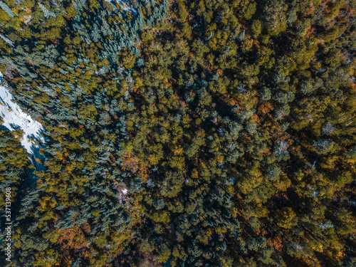 View from above