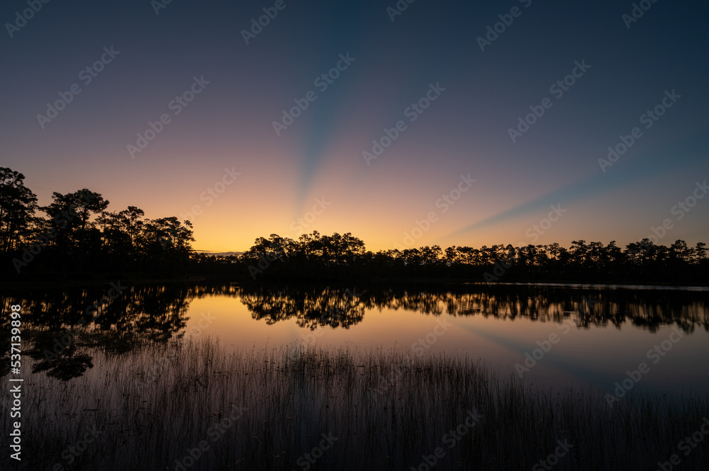Sun rays over Long Pine Key in Everglades National Park, Florida in morning twilight on clear autumn morning reflected in calm pond water.