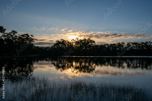 Sunrise over Long Pine Key in Everglades National Park  Florida on sunny autumn morning.