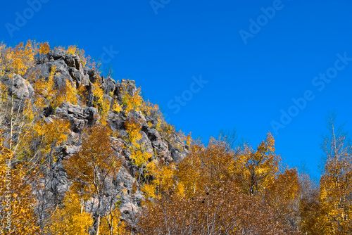 yellow and blue