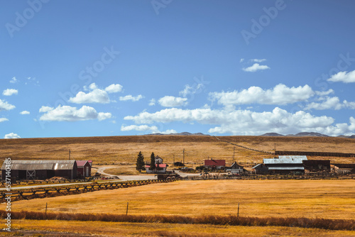 tractor in field
