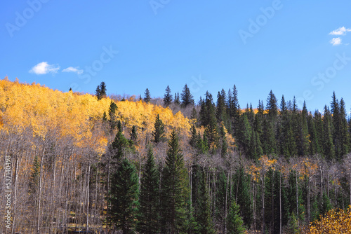 autumn in the mountains