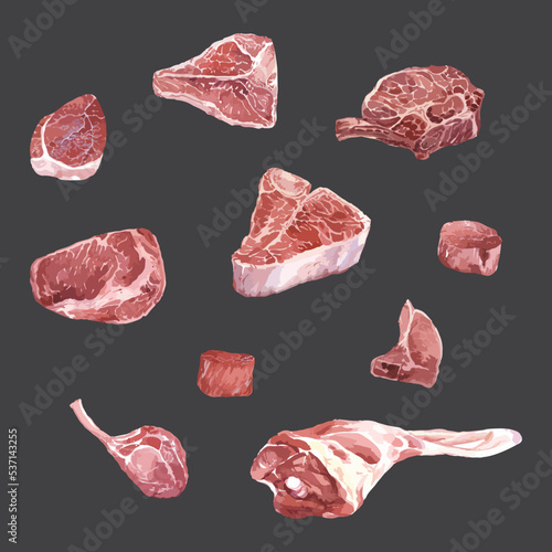 Set different cuts of raw meats watercolor vector illustration