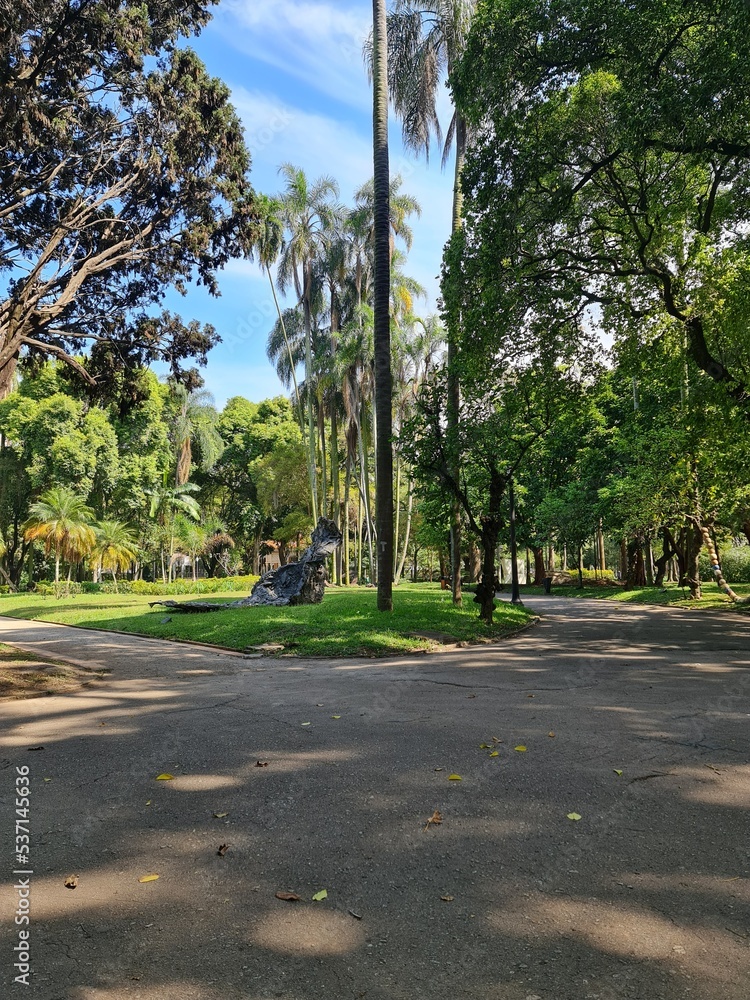 alley in the park