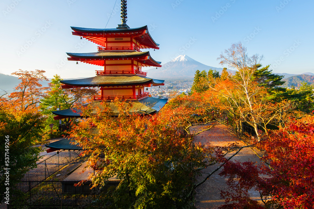 Obraz premium Fuji Mountain and Chureito Pagoda with Colorful sakura leaves in autumn , Japan 