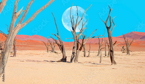 Dead trees in Dead Vlei with full moon - Sossusvlei  Namib desert      Elements of this image furnished by NASA