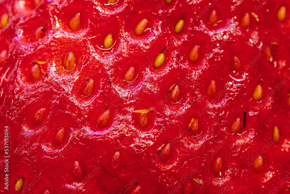 close up of strawberry close up of strawberry