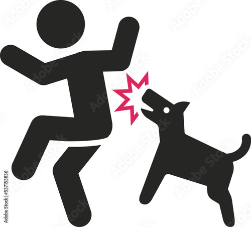 animal accident icon