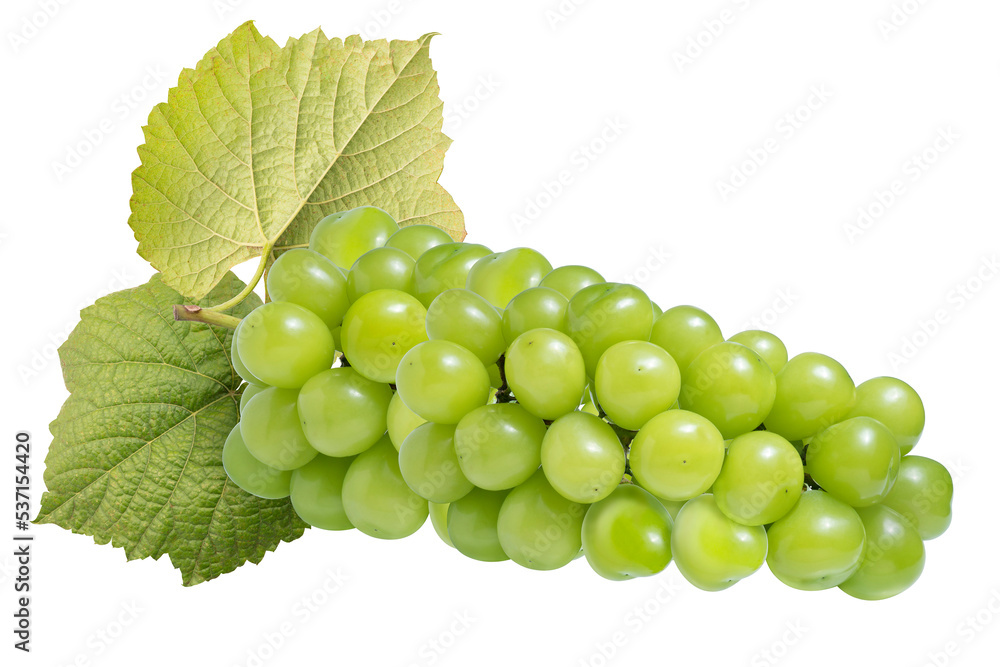 Shine Muscat Grape isolated on white background, Green grape with leaves on white PNG file. Shine Muscat Grape isolated on white background, Green grape with leaves on white PNG file.