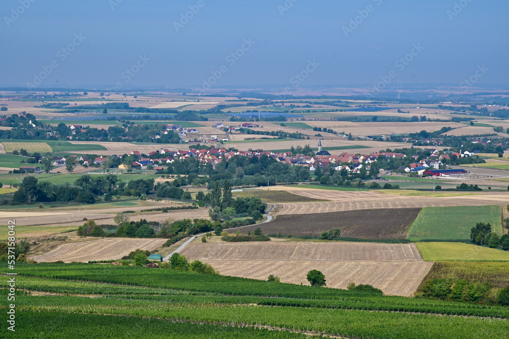 Panorama Blick von der Aussichtsplattform über Weinberge bei der Wanderung Traumrunde Hüttenheim Seinsheim bei blauem Himmel im Steigerwald, bei Kitzingen in Unterfranken, Franken, Bayern Deutschland