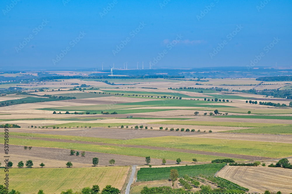 Panorama Blick von der Aussichtsplattform über Weinberge bei der Wanderung Traumrunde Hüttenheim Seinsheim bei blauem Himmel im Steigerwald, bei Kitzingen in Unterfranken, Franken, Bayern Deutschland