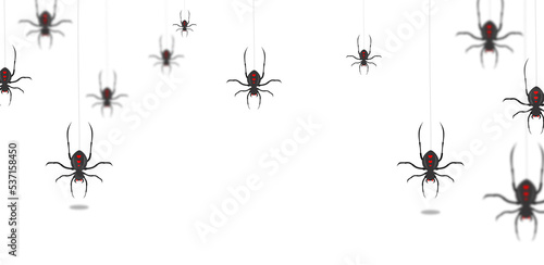spider for halloween background design © Rhidona
