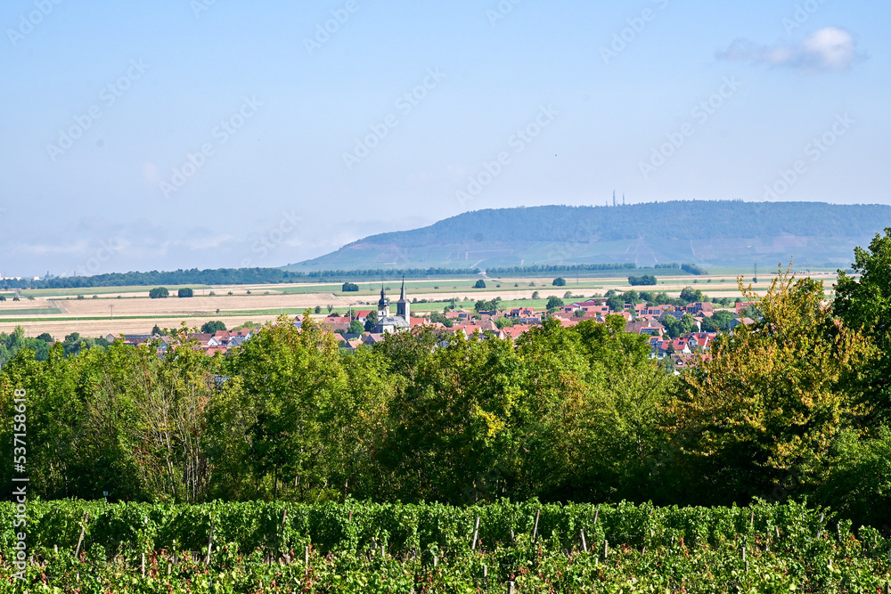 Panorama Blick nach Seinsheim von der Aussichtskanzel bei der Wanderung Traumrunde Hüttenheim Seinsheim bei blauem Himmel im Steigerwald, bei Kitzingen in Unterfranken, Franken, Bayern Deutschland
