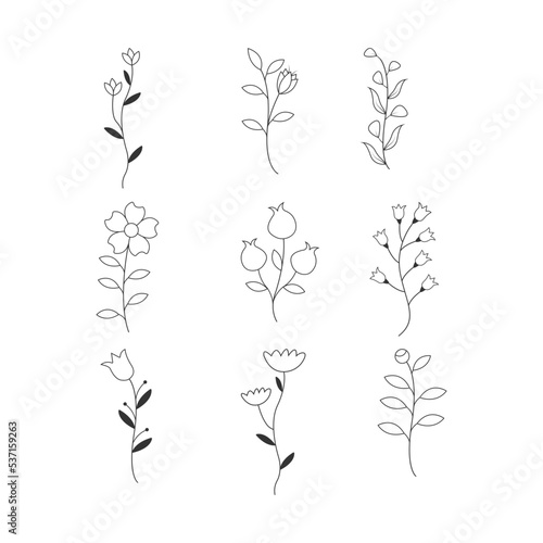 Line flower pattern  antique seamless art. Spring flowers Botanical illustration.