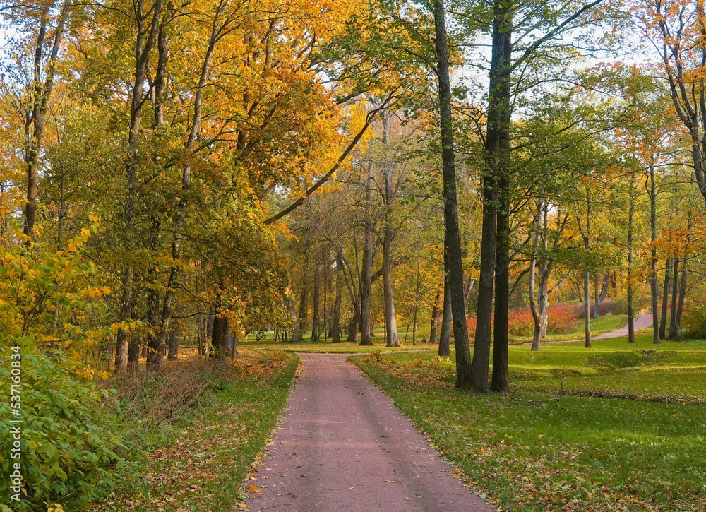 Fototapeta premium autumn in the park