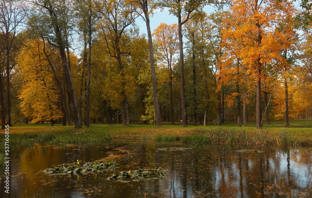 autumn in the park autumn in the park