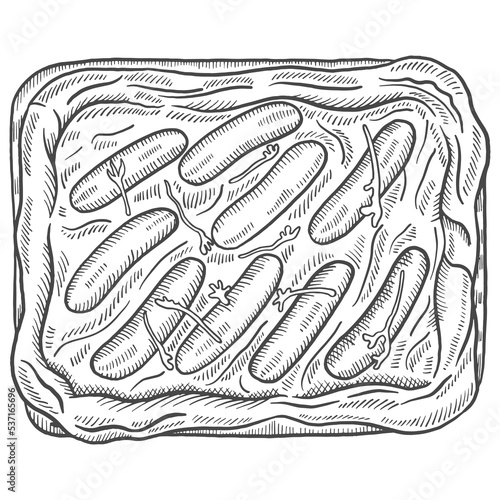 toad in the hole british or england food cuisine isolated doodle hand drawn sketch with outline style