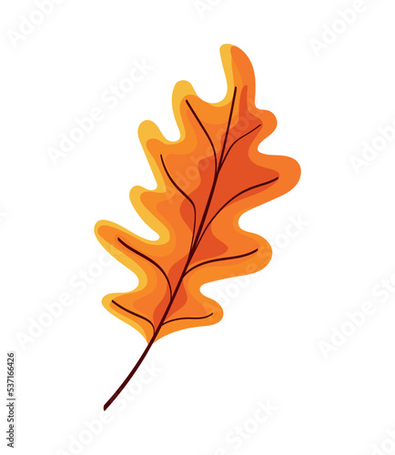 dry leaf autumn season