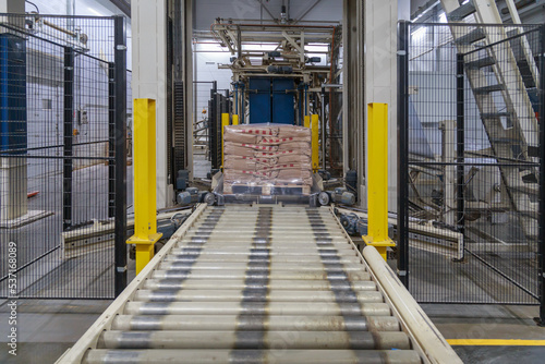 Packaging line of poultry farm production.