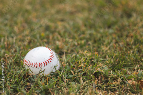 Photography baseball on grass