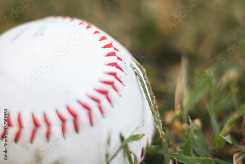 Canvas Print baseball in grass