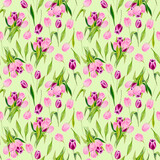 watercolor spring seamless pattern with tulips on green background