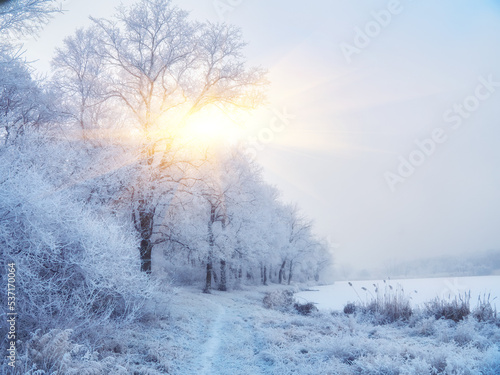 Fototapeta Naklejka Na Ścianę i Meble -  frozen lake on sunny winter's day with blue sky