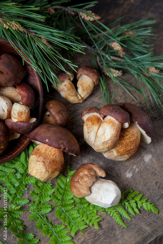 Imleria Badia or Boletus badius mushrooms commonly known as the bay bolete and Porcini mushroom commonly known as Boletus Edulis, clay bowl with mushrooms on vintage wooden background..