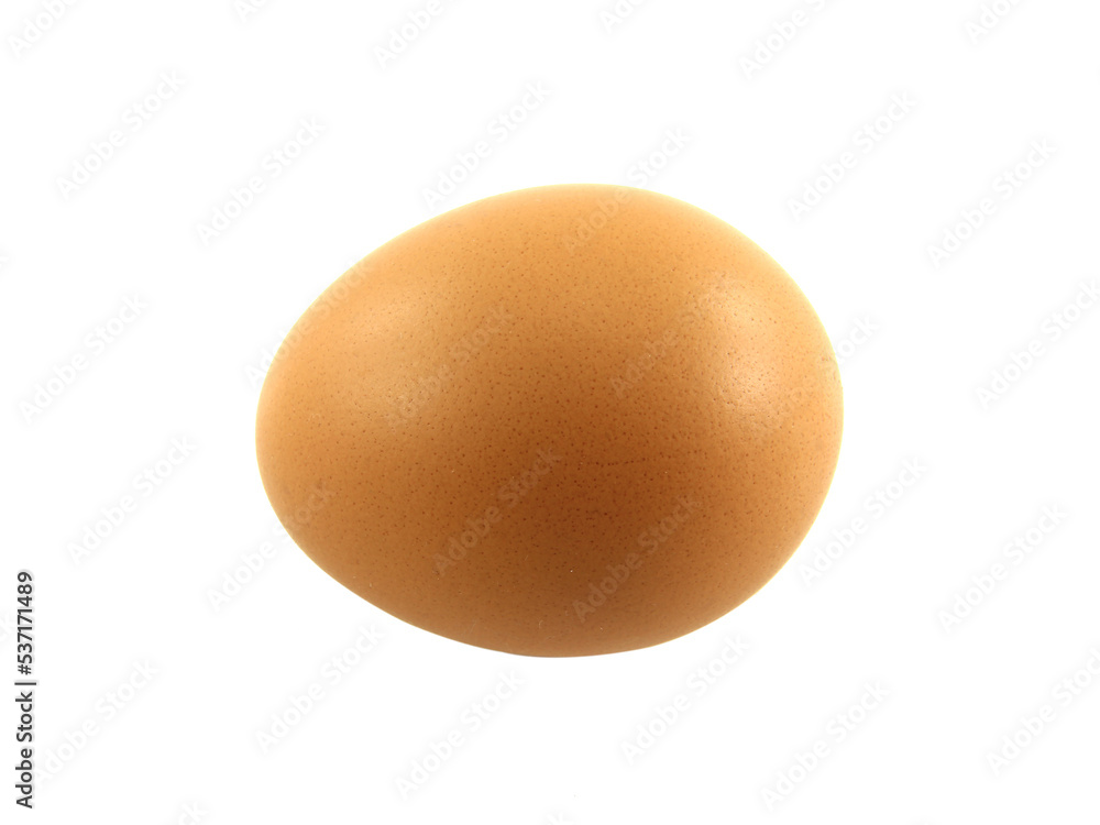 One egg isolated on white background.Selection focus. One egg isolated on white background.Selection focus.