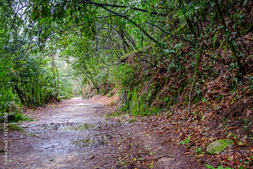 Pedestrian path on the banks of the Lerez river in the city of Pontevedra (Spain)