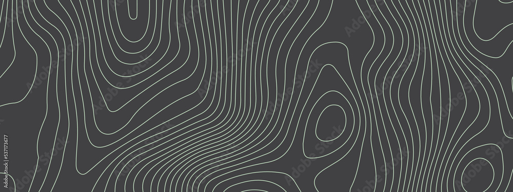 Black and white wavy abstract topographic map contour, lines Pattern background. Topographic map and landscape terrain texture grid. Wavy banner and color geometric form. Vector illustration. Black and white wavy abstract topographic map contour, lines Pattern background. Topographic map and landscape terrain texture grid. Wavy banner and color geometric form. Vector illustration.