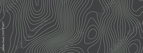 Black and white wavy abstract topographic map contour  lines Pattern background. Topographic map and landscape terrain texture grid. Wavy banner and color geometric form. Vector illustration.