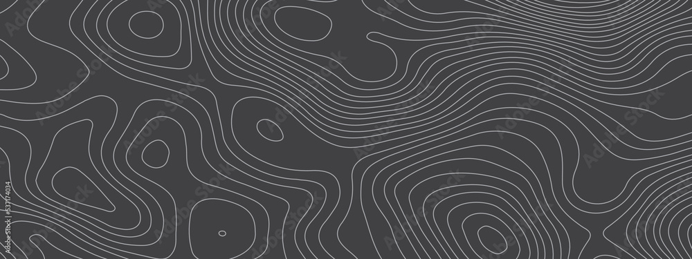 Black and white wavy abstract topographic map contour, lines Pattern background. Topographic map and landscape terrain texture grid. Wavy banner and color geometric form. Vector illustration. Black and white wavy abstract topographic map contour, lines Pattern background. Topographic map and landscape terrain texture grid. Wavy banner and color geometric form. Vector illustration.