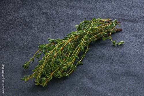 Fresh green Thyme branch heap