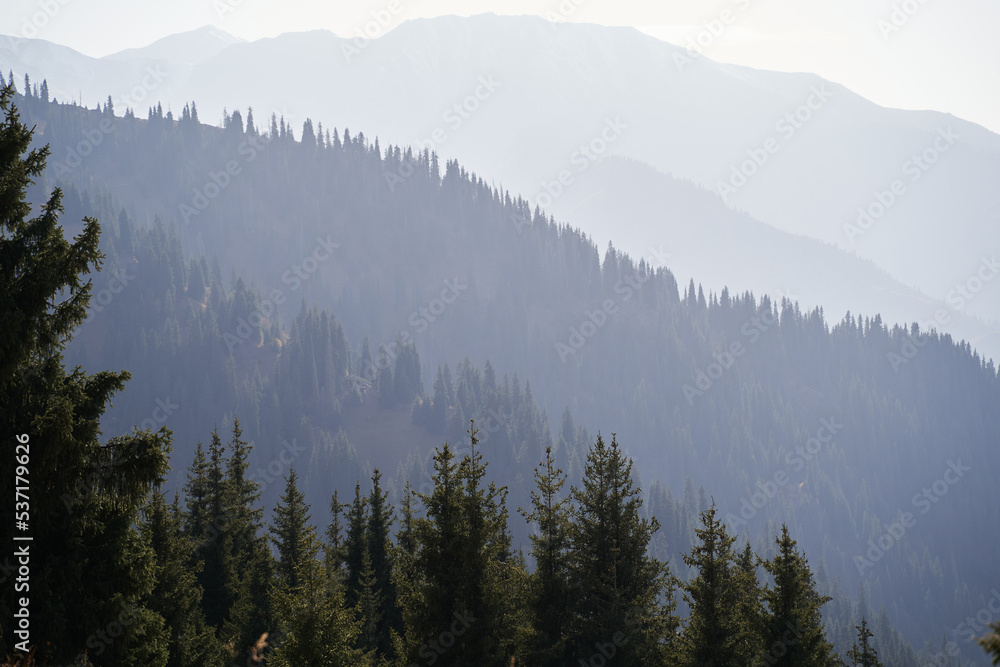 Naklejka premium Mountain landscape with a view on valleys with forest.