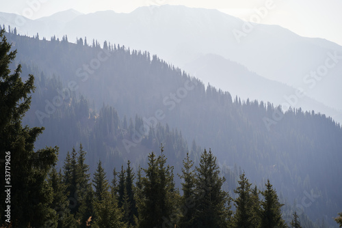 Mountain landscape with a view on valleys with forest. © avopross