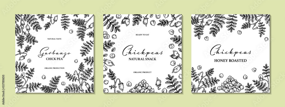Set of hand drawn chickpeas botany backgrounds. Vector illustration in sketch style. Packaging design