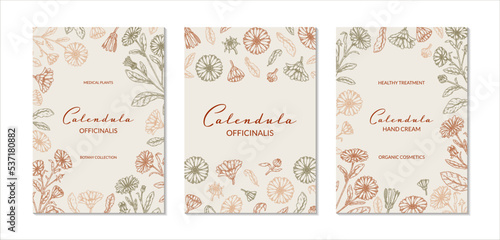 Set of calendula vertical packaging designs with hand drawn elements. Vector illustration in sketch style