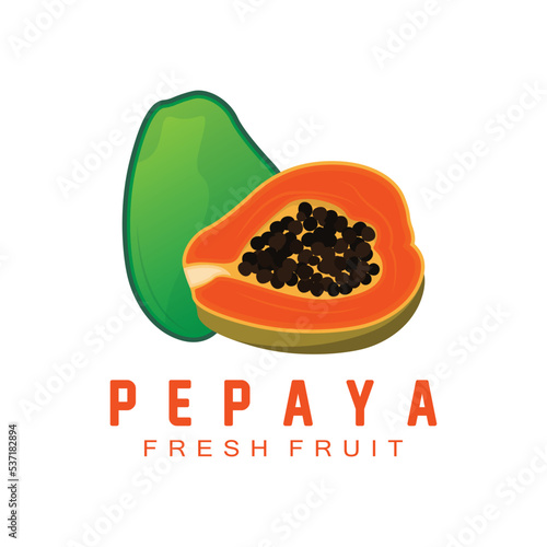 Textured Orange Fruit Design Papaya Logo, Papaya Tree Brand Product Label Vector, Fruit Market