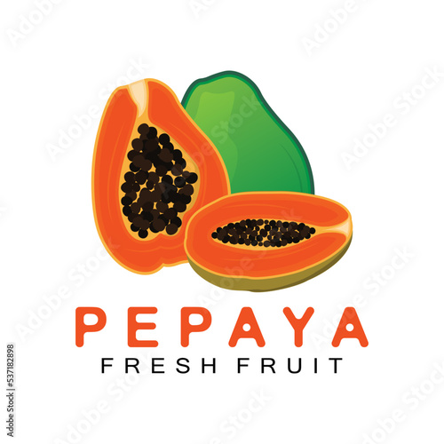 Textured Orange Fruit Design Papaya Logo, Papaya Tree Brand Product Label Vector, Fruit Market