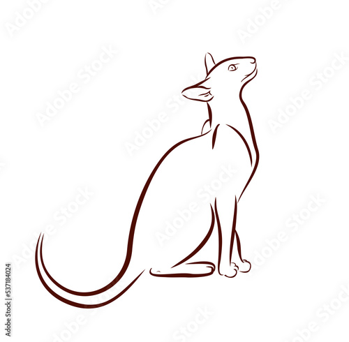 The symbol of a pet cat.