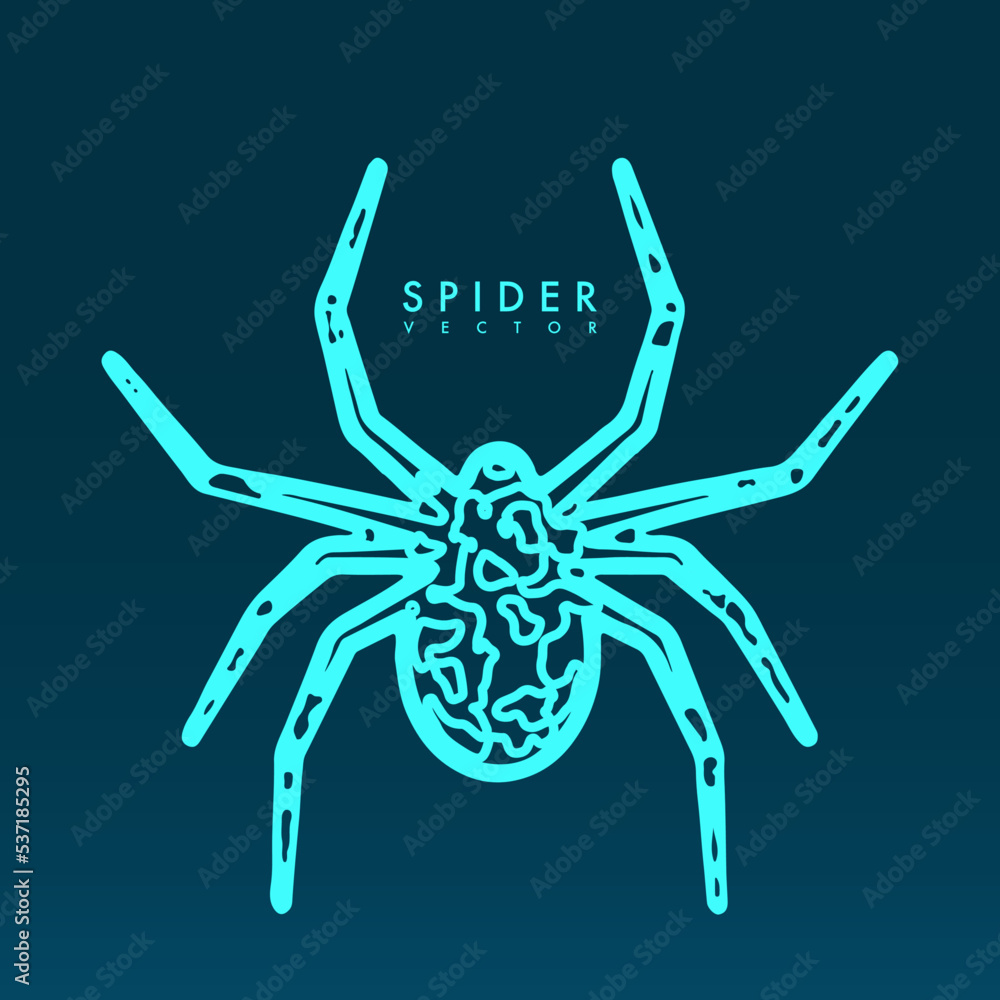Abstract spider illustration. Abstract spider illustration.