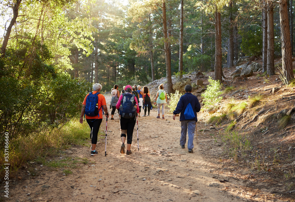 Hiking, nature and fitness with a group of people walking in the woods or forest for health and exercise. Trees, health and active with friends taking a walk on a dirt road or footpath during summer