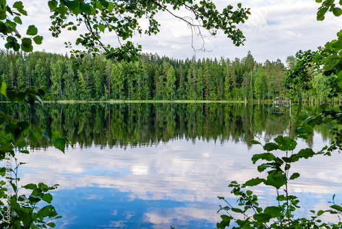 lake in the forest photo