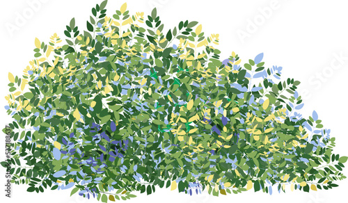 Realistic garden shrub, seasonal bush, boxwood, tree crown bush foliage.Ornamental green plant in the form of a hedge.For decorate of a park, a garden or a green fence.